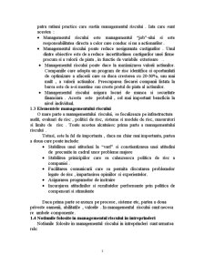 Managementul Riscului la SC Samus Mex SA - Pagina 3
