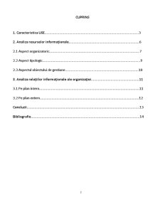 Infrastructura Informațională a Societății Internaționale de Asigurări Moldasig - Pagina 2