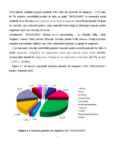 Infrastructura Informațională a Societății Internaționale de Asigurări Moldasig - Pagina 4