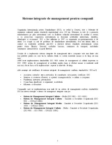 Sisteme Integrate de Management pentru Companii - Pagina 1