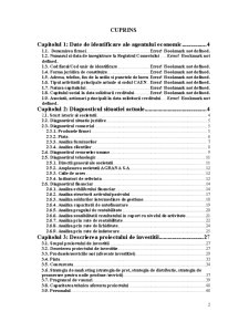 Studiu de Fezabilitate SC Agrana România SA - Pagina 2