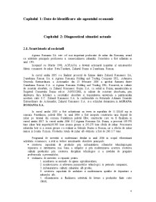 Studiu de Fezabilitate SC Agrana România SA - Pagina 4