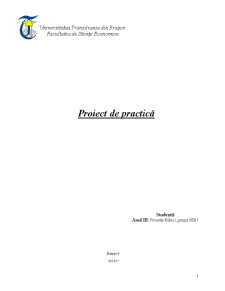 Proiect de practică la Melidan SRL - Pagina 1