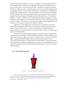 Procesul de Ambalare a Cognacului - Pagina 4