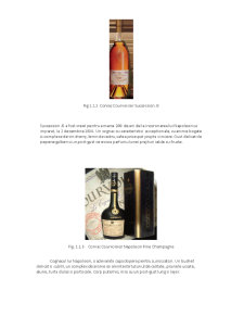 Procesul de Ambalare a Cognacului - Pagina 5
