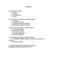 Diagnosticul activității Hotelului Pietroasa - Pagina 2