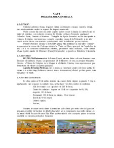 Diagnosticul activității Hotelului Pietroasa - Pagina 3