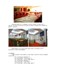 Diagnosticul activității Hotelului Pietroasa - Pagina 4