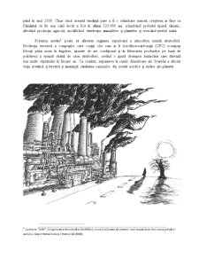 Efectele Majore ale Poluării Mediului - Pagina 3