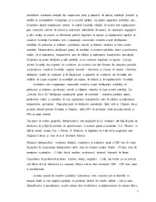 Raport de practică la SA Avicola Roso SL - Pagina 3
