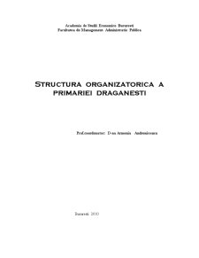 Structura organizatorică a Primăriei Drăgănești - Pagina 1