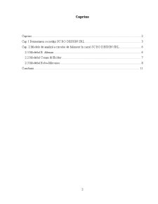 Analiza Riscului de Insolvabilitate prin Metoda Scorurilor a Întreprinderii SC Ro Design SRL - Pagina 2