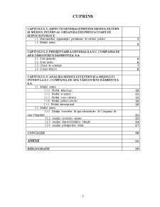 Analiza mediului intern și extern la SC Compania de Apă Târgoviște - Pagina 2