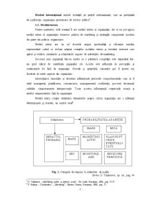 Analiza mediului intern și extern la SC Compania de Apă Târgoviște - Pagina 5