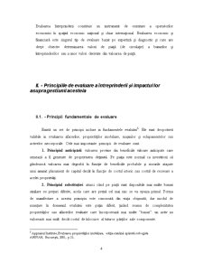 Principii contabile și principii în evaluarea întreprinderii - Pagina 4