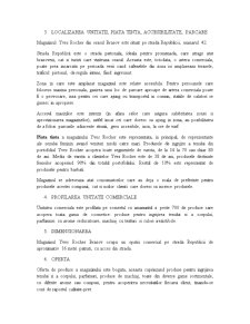 Tehnologia comercială la nivelul magazinului Yves Rocher Brașov - Pagina 2