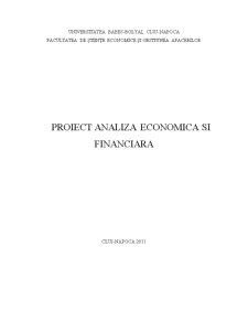 Analiza economică și financiară - Pagina 1