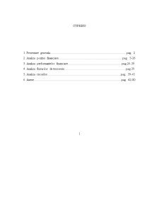 Analiza economică și financiară - Pagina 2