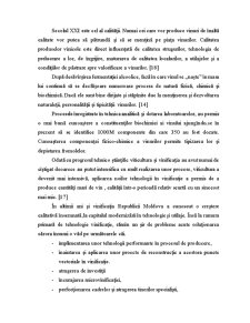 Proiect - Sauvignon - Pagina 2