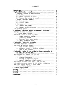 Analiza Posturilor - SC APSA Baia-Mare - Pagina 1