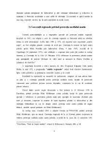 Analiza Instrumentelor Juridice Privind Protectia Regionala a Mediului Marin - Cazul Marii Negre - Pagina 4