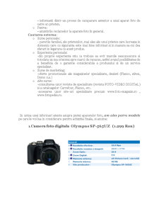 Procesul decizional de cumpărare pentru cameră foto digitală - Pagina 5