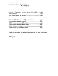 Principalele Forme Juridice de Organizare ale Firmelor - Pagina 2