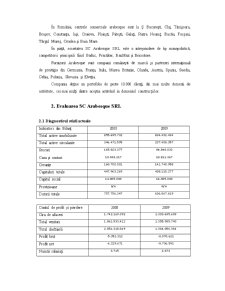 Evaluarea SC Arabesque SRL - Pagina 2