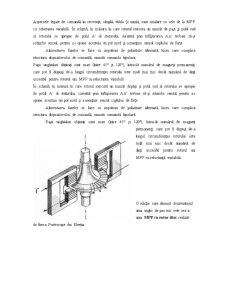 Motorul pas cu pas - Pagina 5