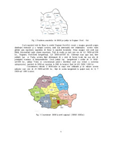 Analiza Distribuției Teritoriale a IMM la Nivel Regional în România - Pagina 5
