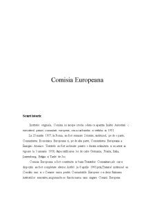 Comisia Europeană - structură și funcții - Pagina 1