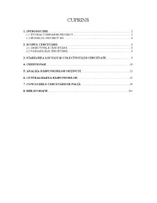 Cercetare de piață - Peugeot 308 - Pagina 1