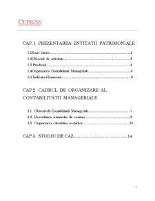 Contabilitate managerială - SC Piera SRL - Pagina 1