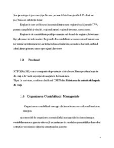 Contabilitate managerială - SC Piera SRL - Pagina 4