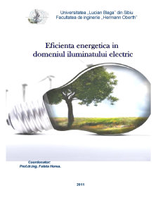 Eficiența energetică în domeniul iluminatului electric - Pagina 1