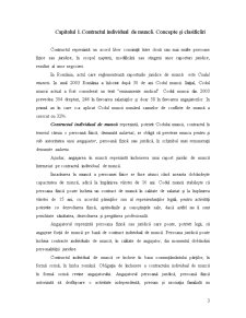 Contractele Individuale de Muncă de Tip Particular - Pagina 3