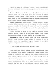Considerații Generale asupra Sediului Materiei - Convenția Europeană a Drepturilor Omului - Pagina 3