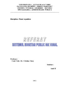 Sistemul bugetar public național - Pagina 1