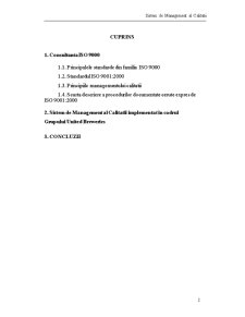 Sistem de management al calității - Pagina 2