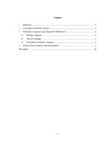 Dezvoltarea durabilă - studiu de caz - Pagina 2