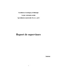 Raport de Supervizare - Pagina 1