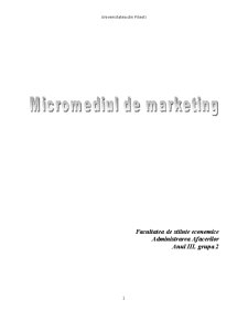 MIcromediul de Marketing - Pagina 1
