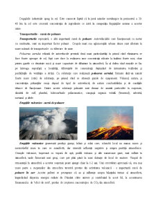 Poluarea - Pagina 2