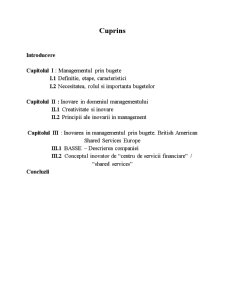 Management prin Bugete - Pagina 2