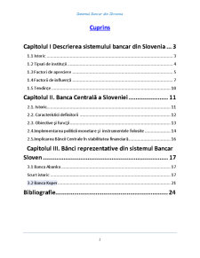 Monografie - Sistemul Bancar din Slovenia - Pagina 2