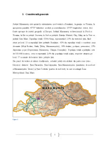 Organizarea și valorificarea spațiului turistic în Județul Maramureș - Pagina 3