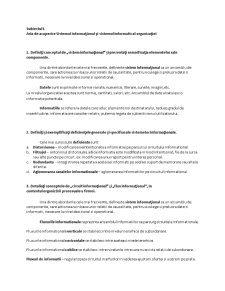 Subiecte Sisteme de E-organisation - Pagina 1