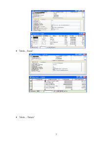 Sistem informatic pentru evidența asigurărilor la o firmă de asigurări - Pagina 4