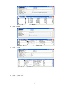 Sistem informatic pentru evidența asigurărilor la o firmă de asigurări - Pagina 5