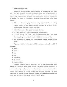 Plan de Marketing - Evantai - Pagina 3